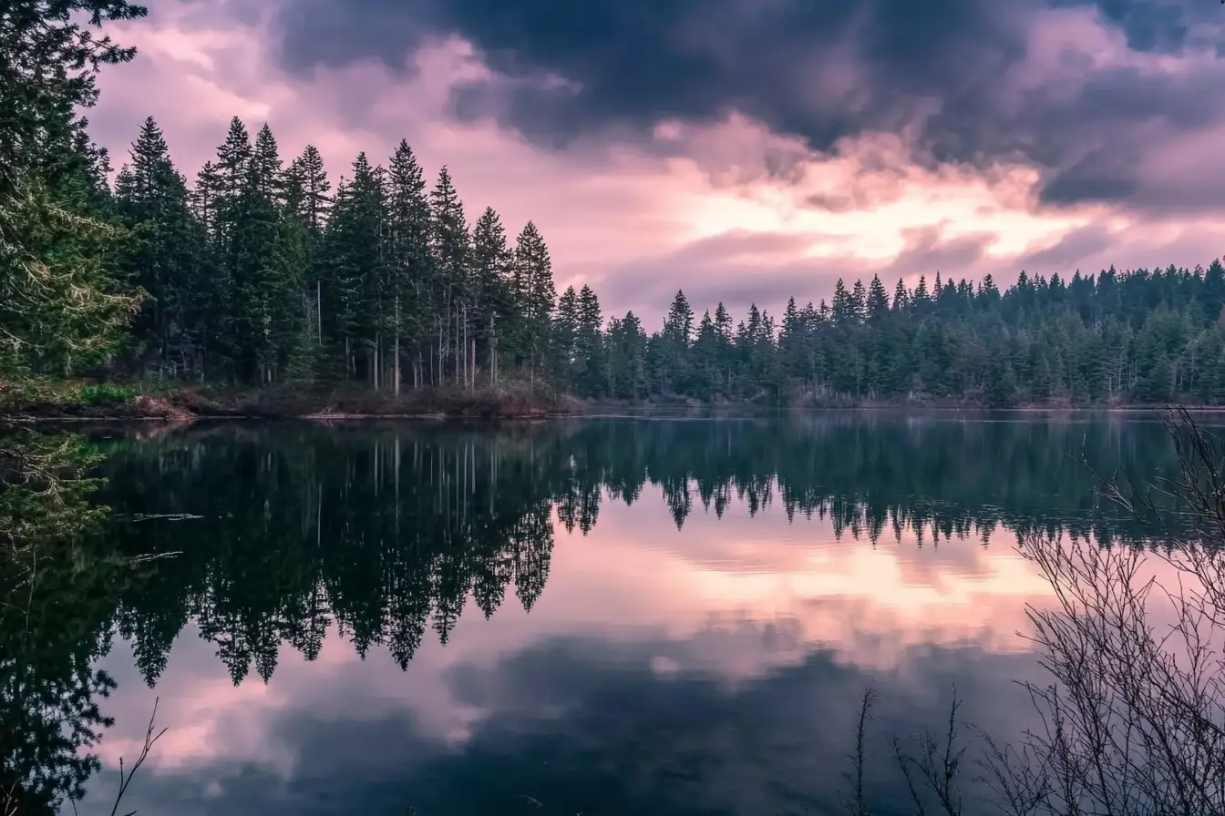 spider lake